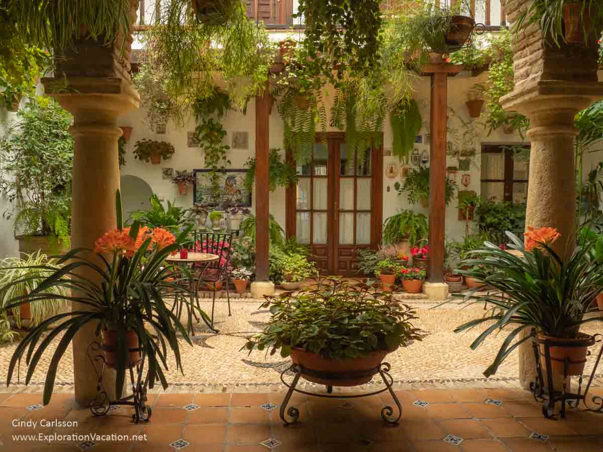 photo of a courtyard in Cordoba Spain