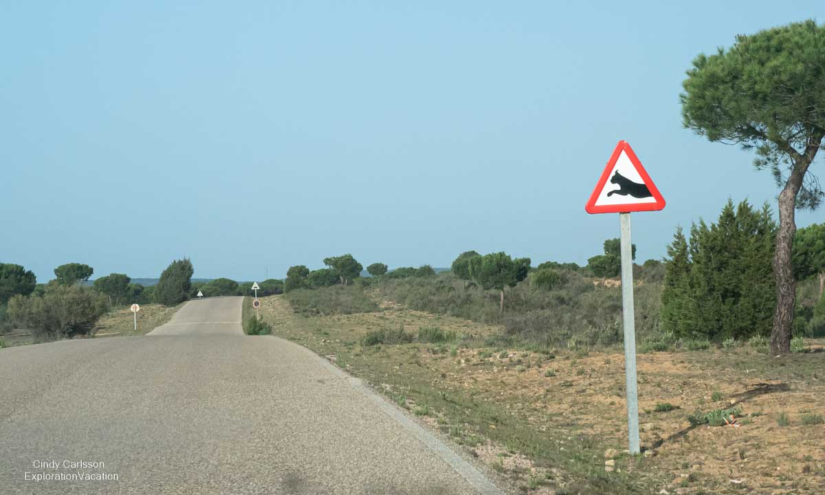 photo of a lynx crossing sign along a road in Donana Nautre Reserve Andalucia Spain © Cindy Carlsson at ExplorationVacation.net