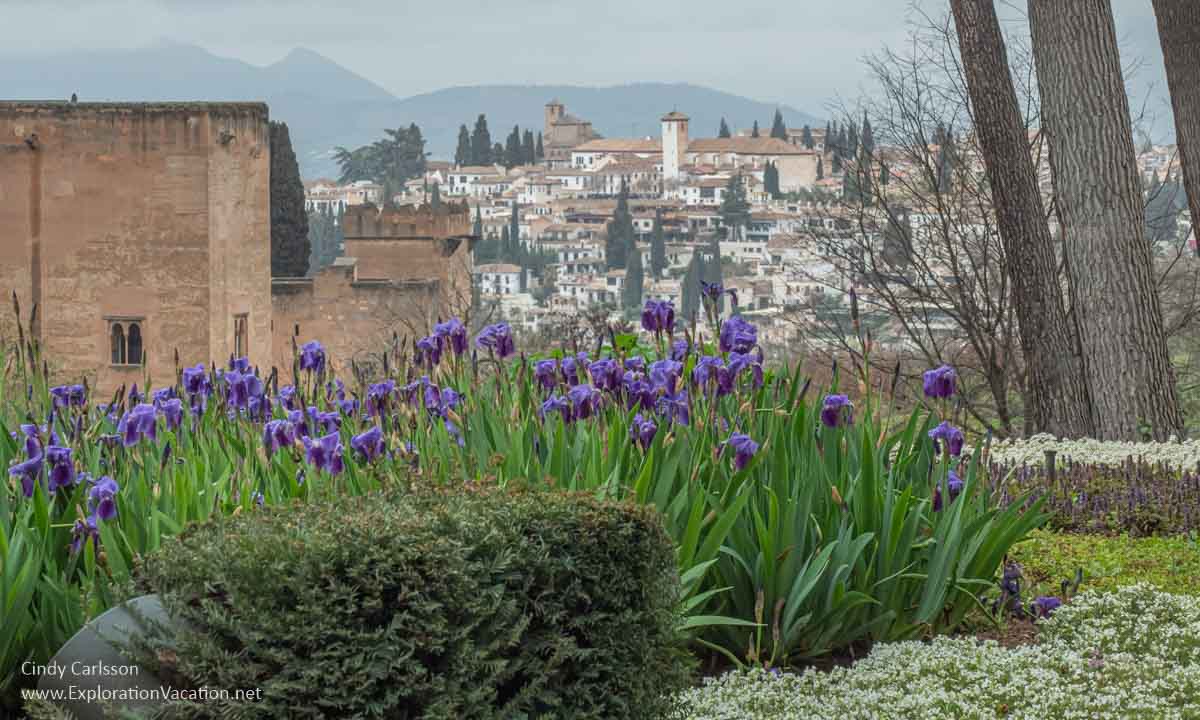 photo of iris at the Alhambra in Granada Spain © Cindy Carlsson at ExplorationVacation