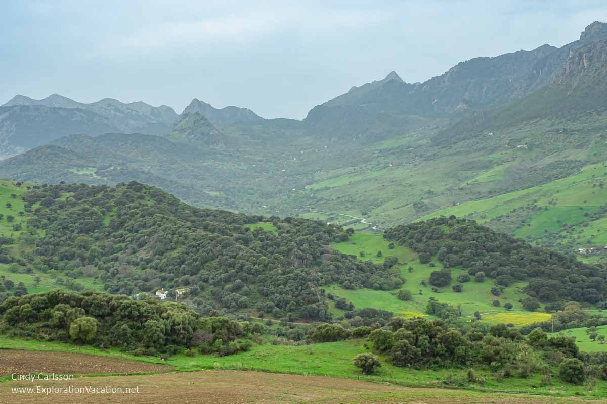 photo of green foothills and mountain peaks in Grazalema Natural Park in Spain