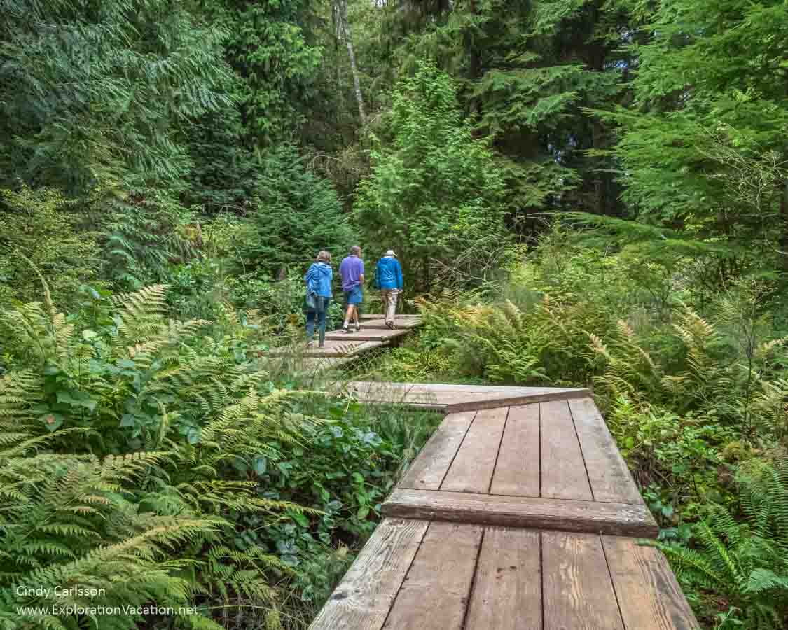 photo of wooded boardwalk in Bloedel Reserve on Bainbridge Island Washington