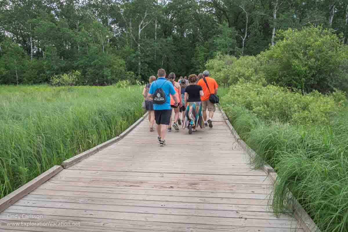 Photo of a floating boardwalk through a marsh at Quarry Park and Nature Preserve near St Cloud Minnesota. Text and photos © Cindy Carlsson ExplorationVacation.net