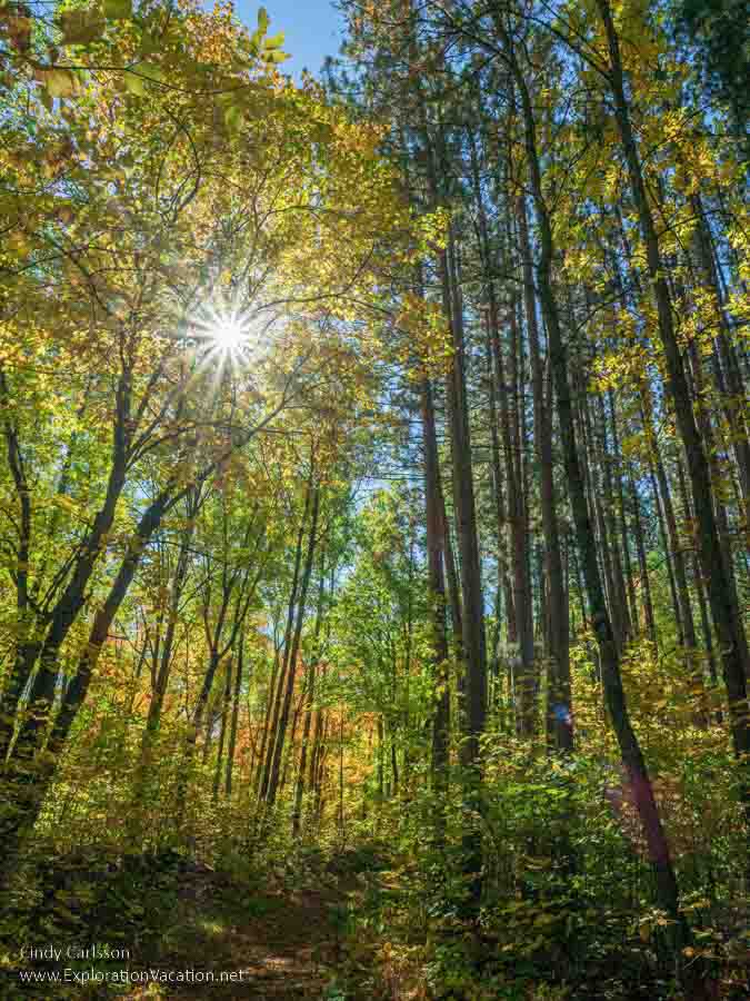 photos of colorful trees at Suomi Hills along Minnesota Highway 38, the Edge of the Woods Scenic Byway &copy; Cindy Carlsson at ExplorationVacation.net