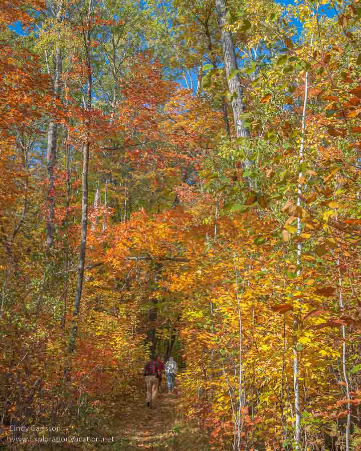 photo of people hiking through orange and yellow trees along Trout Lake in Itasca County Minnesota © Cindy Carlsson at ExplorationVacation.net
