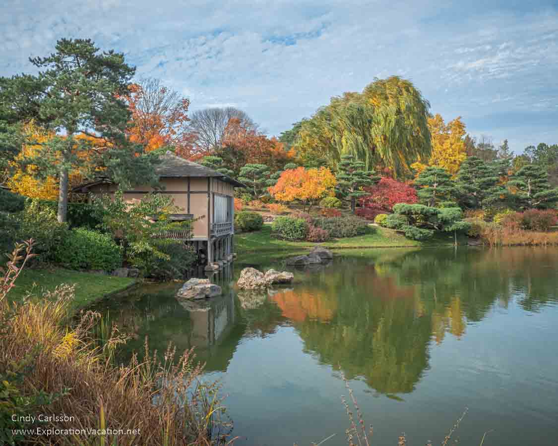photo of a Japanese pavilion along a lake with fall colors reflected in the water at the Chicago Botanic Garden © Cindy Carlsson at ExplorationVacation.net