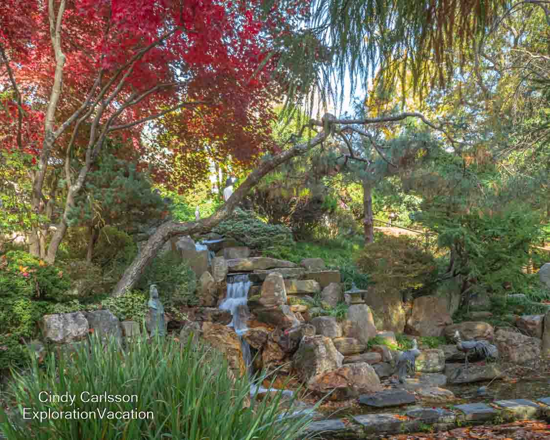 photo of Japanese garden in the fall at Hillwood Estate in Washington DC © Cindy Carlsson at ExplorationVacation.net