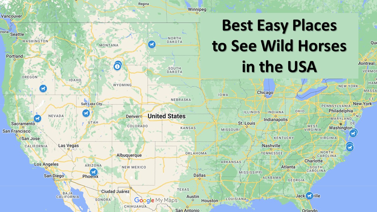 Link to map of the best and easiest places to see wild horses in the USA © Cindy Carlsson at ExplorationVacation.net