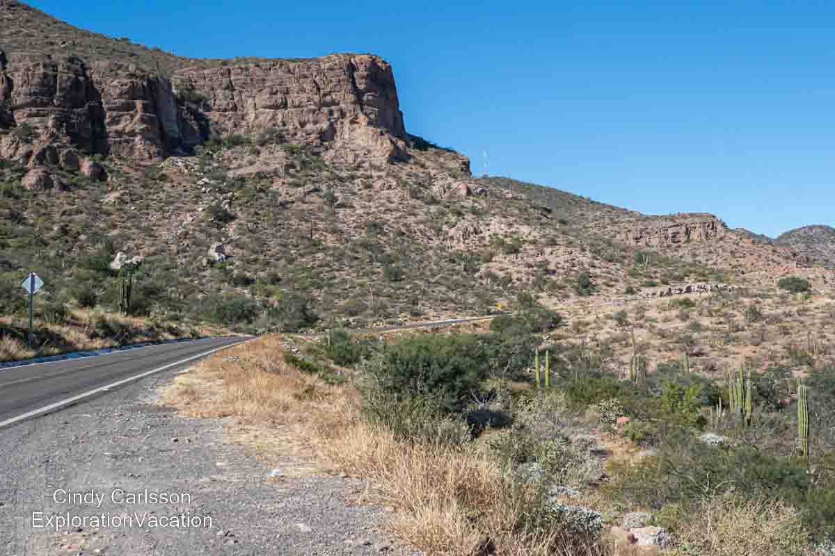 photo of a road through a desert landscape in central Baja Mexico &copy; Cindy Carlsson at ExplorationVacation.net