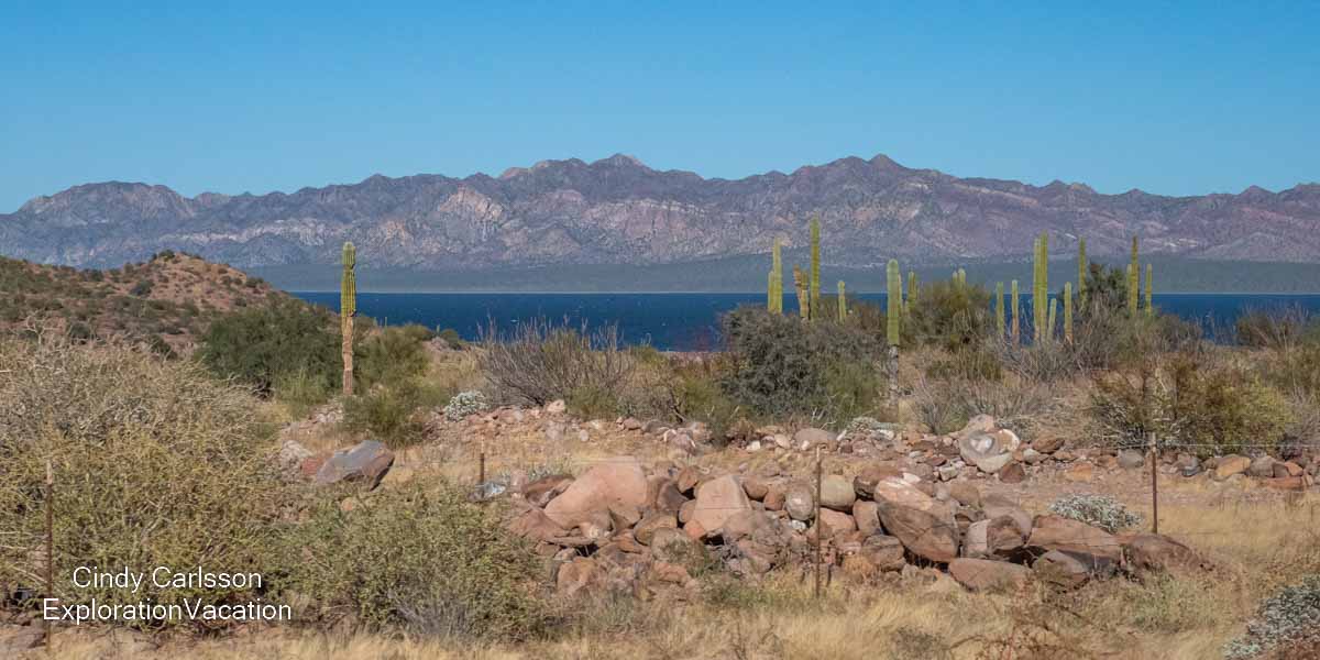 photo of a desert landscape along the Sea of Cortez (Gulf of California) in Baja Sur Mexico &copy; Cindy Carlsson at ExplorationVacation.net