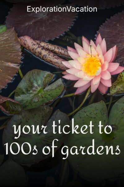 Pin with photos of a water lily with text "Your ticket to 100s of gardens - ExplorationVacation.net"