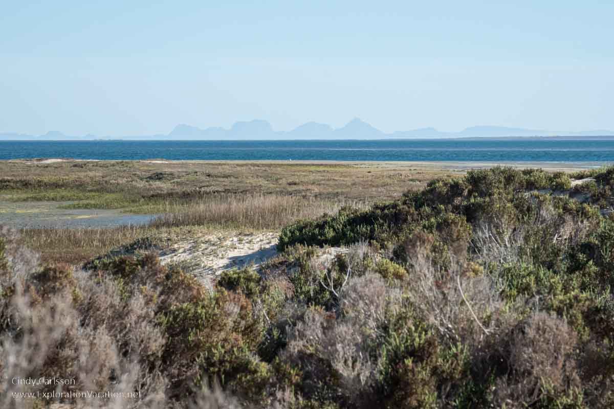 Photo of the marsh and lagoon by the Baja Jones whale watching camp on Laguna Ojo de Liebre in Guerrero Negro, Baja Sur, Mexico &copy; Cindy Carlsson - ExplorationVacation.net 