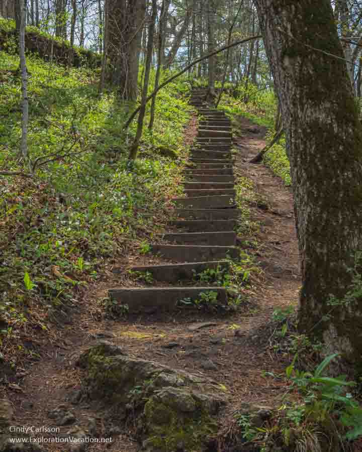 Steps going up to the top of a green bluff.