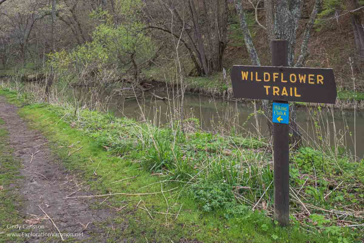 A simple wooden sign that says &ldquo;wildflower trail&rdquo; in Carley State Park.