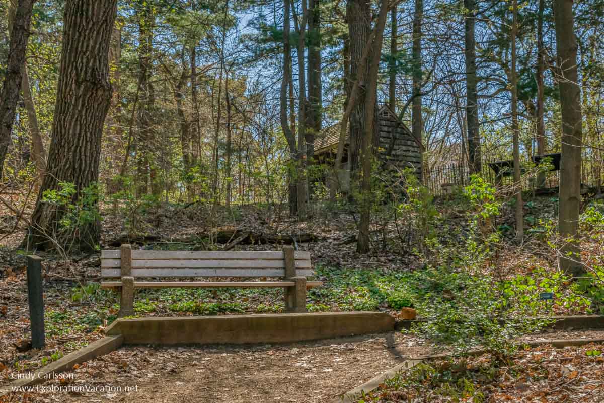 A bench in a wildflower garden with a log cabin visible behind some trees.