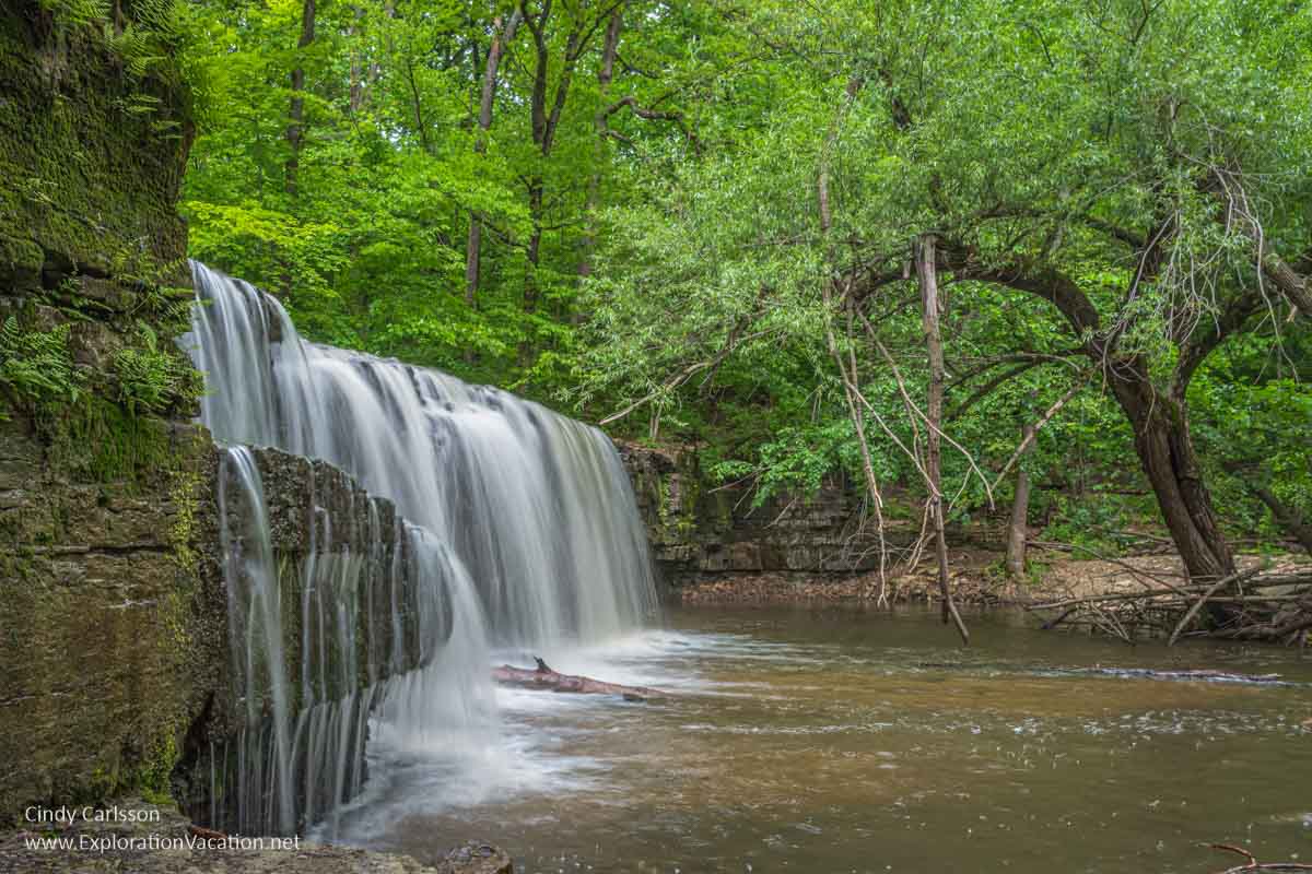 Waterfall in a woodland.
