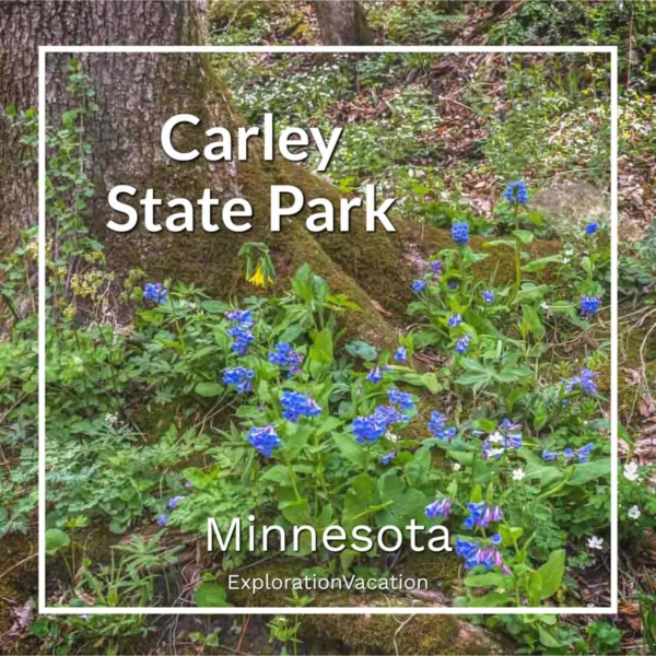 Link to photos and stories on Minnesota's Carley State Park on ExplorationVacation.net.