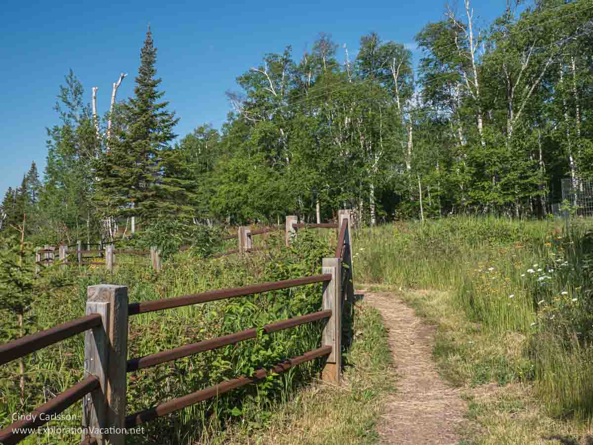 photo of a hiking trail along a ridgeline with a wood fence that leads into the forest at the Ray Bergland Wayside along Highway 61 on Minnesota's Lake Superior North Shore drive &copy; Cindy Carlsson at ExplorationVacation.net