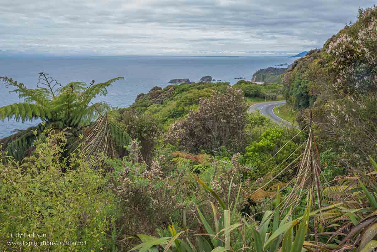 photo looking down along the coastal road in the Te Wahipounamu - South West New Zealand UNESCO World Heritage &copy; Cindy Carlsson at ExplorationVacation.net