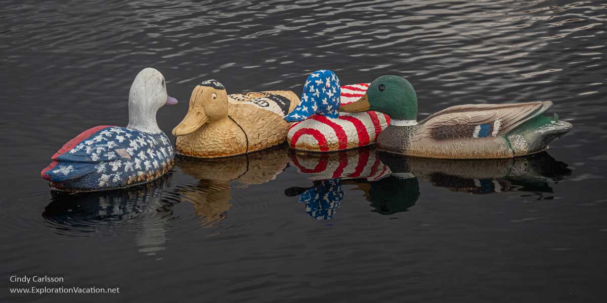 photo of colorfully painted duck decoys knows as the Minnesota highway 65 ditch ducks &copy; Cindy Carlsson at ExplorationVacation.net