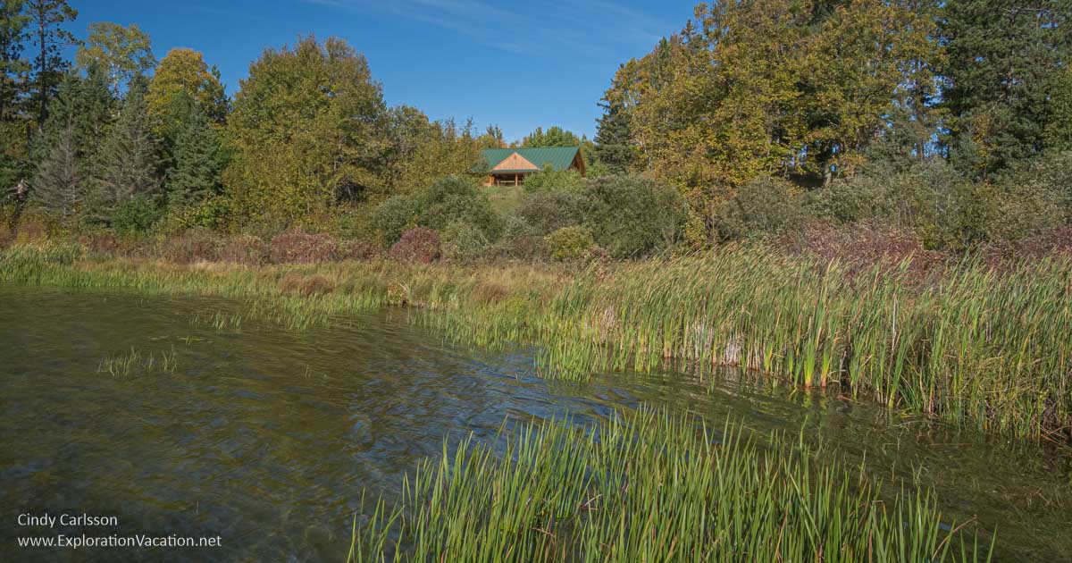 photo of a wetland along the edge of a lake with a dock, and a recreational facility way in the background at Minnesota's La Salle Lake State Recreation Area © Cindy Carlsson at ExplorationVacation.net