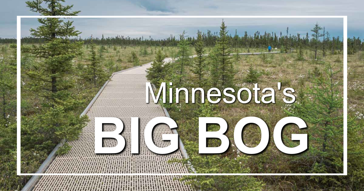 link to photos and story on Minnesota's Big Bog State Recreation Area on ExplorationVacation.net