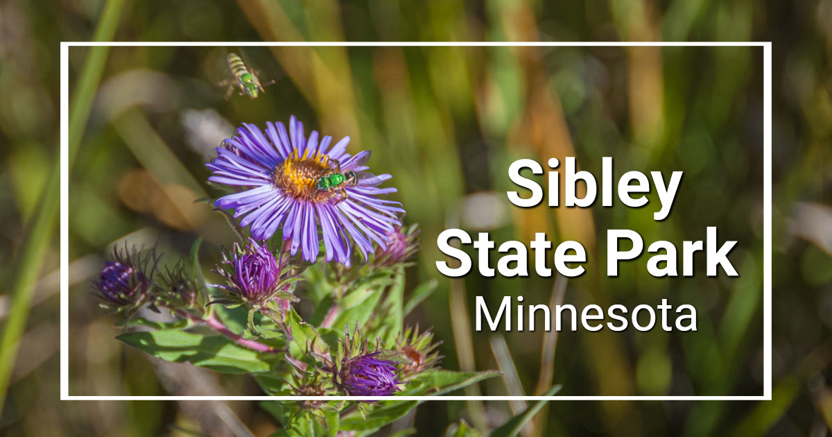 link to story and photos of Minnesota's Sibley State Park on ExplorationVacation.net