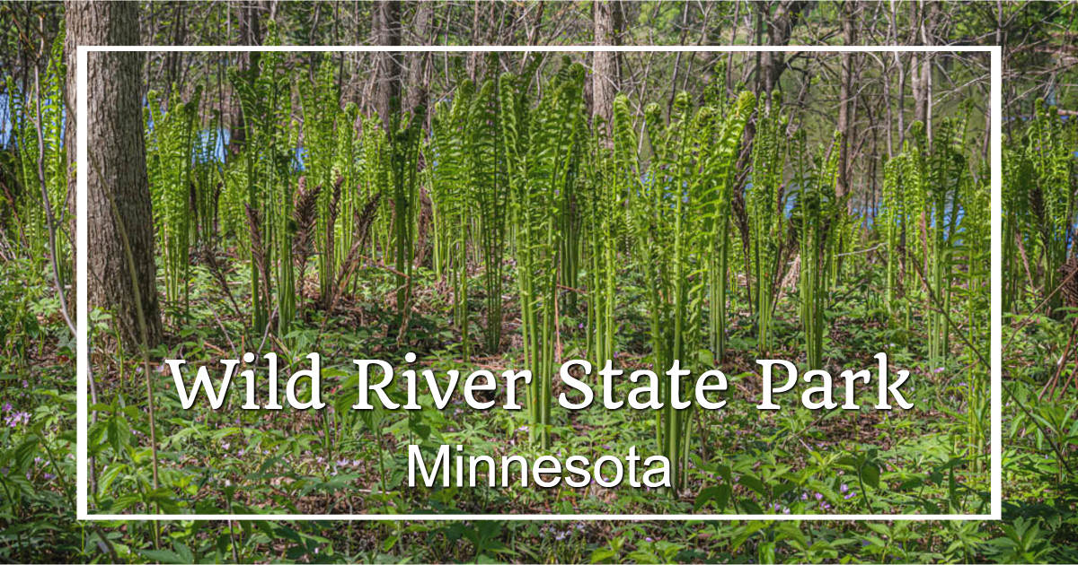 link to story and photos about Wild River State Park on Exploration Vacation.net