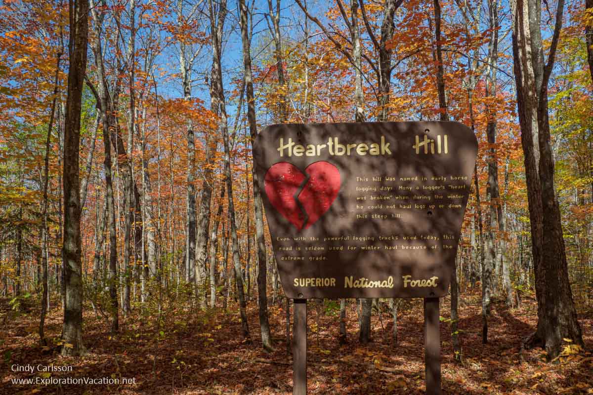 Photo of a US Forest Service sign in a grove of orange maples along Heartbreak Ridge on Minnesota’s North Shore. The text on the sign says “This hill was named in early horse logging days. Many a logger’s heart was broken when during the winter he could not haul logs up or down this steep hill. Even wit the powerful logging trucks used today, this road is seldom used for winter haul because of the extreme grade.” Photo © Cindy Carlsson at ExplorationVacation.net