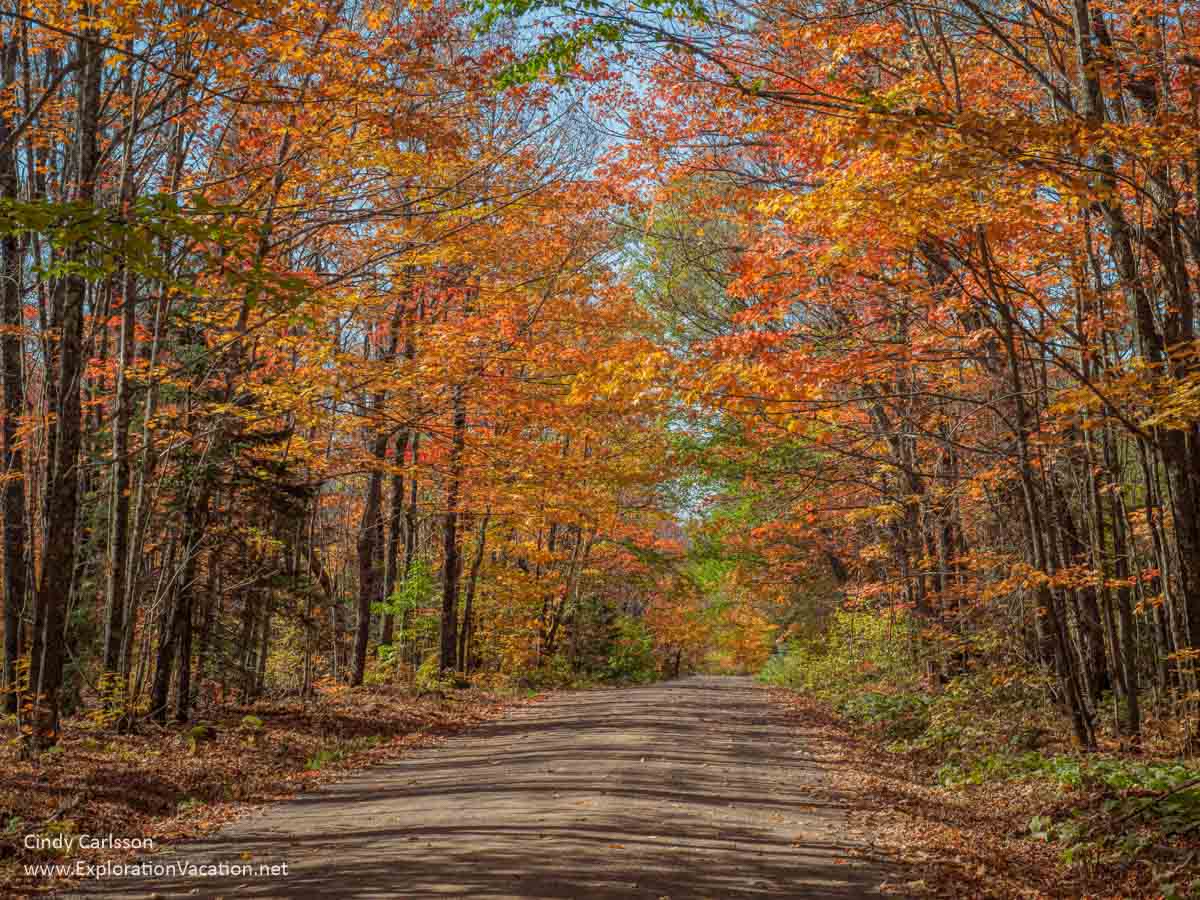 Photo of orange maples along a dirt road along Heartbreak Ridge on Minnesota’s North Shore © Cindy Carlsson at ExplorationVacation.net