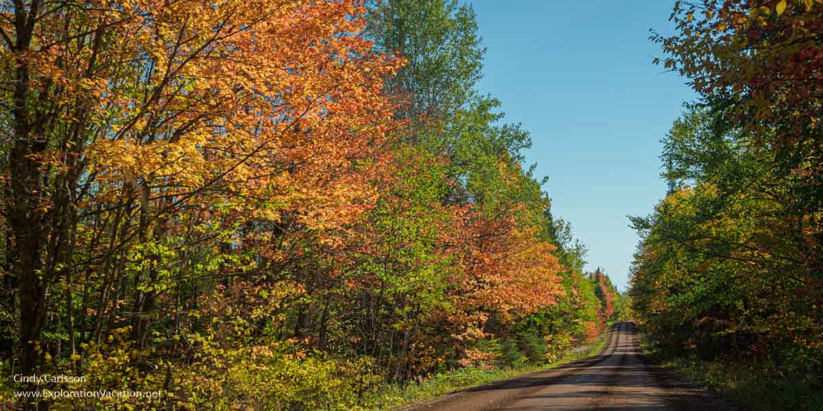 Photo of a gravel road through a forest with brightly colored fall leaves in northern Minnesota © Cindy Carlsson at ExplorationVacation.net