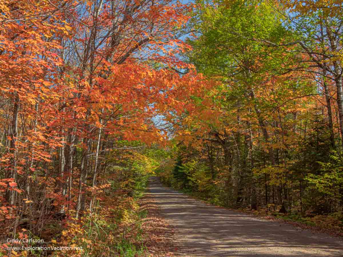 Photo of MN fall colors along a gravel road on Heartbreak Ridge in the Sawtooth Mountains on the North Shore © Cindy Carlsson at ExplorationVacation.net