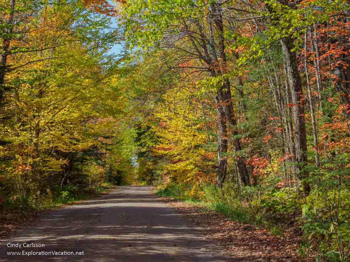 Photo of Minnesota fall foliage along a gravel forest road on Lake Superior’s North Shore © Cindy Carlsson at ExplorationVacation.net