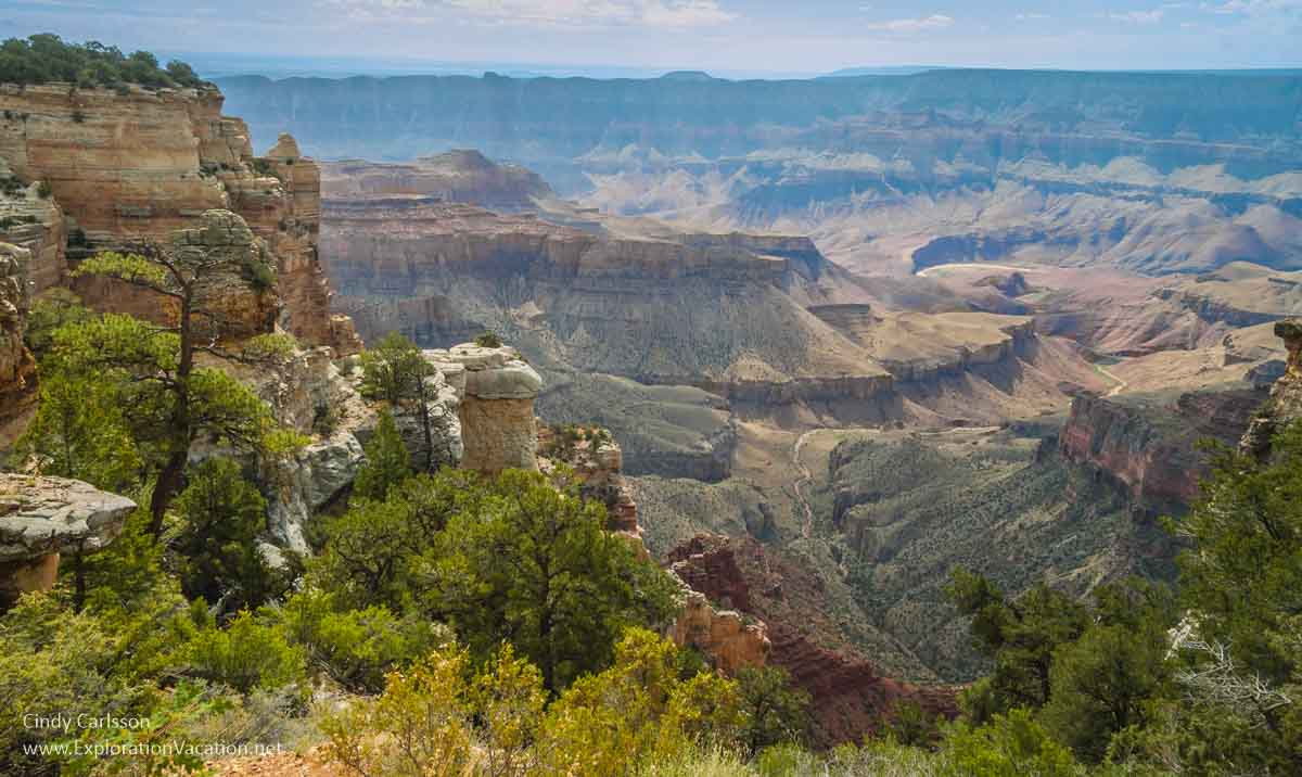 Photo looking into the Grand Canyon from the North Rim, probably from the Walhalla Overlook &copy; Cindy Carlsson ExplorationVacation.net