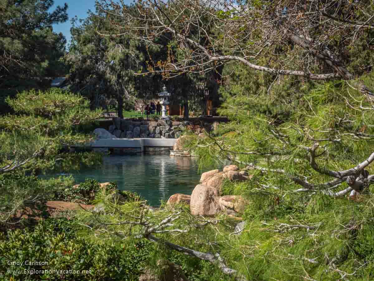 Photo of a pool and lantern viewed through the trees in Rohoen Japanese Garden in Phoenix, Arizona &copy; Cindy Carlsson at ExplorationVacation.net