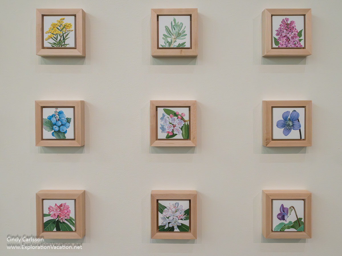Photo of nine small paintings from “State Flowers of the United States” by Louise Jones, part of her 2024 “10,000 Flowers” exhibition at the Dennos Museum Center at Northwestern Michigan College in Traverse City, Michigan. (Photo © Cindy Carlsson on ExplorationVacation.net)