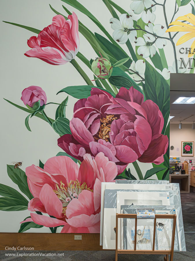 Photo of the flowers painted on the wall by Louise Jones at the entrance to the Dennos Museum Shop at Northwestern Michigan College in Traverse City, Michigan. (Photo © Cindy Carlsson on ExplorationVacation.net)