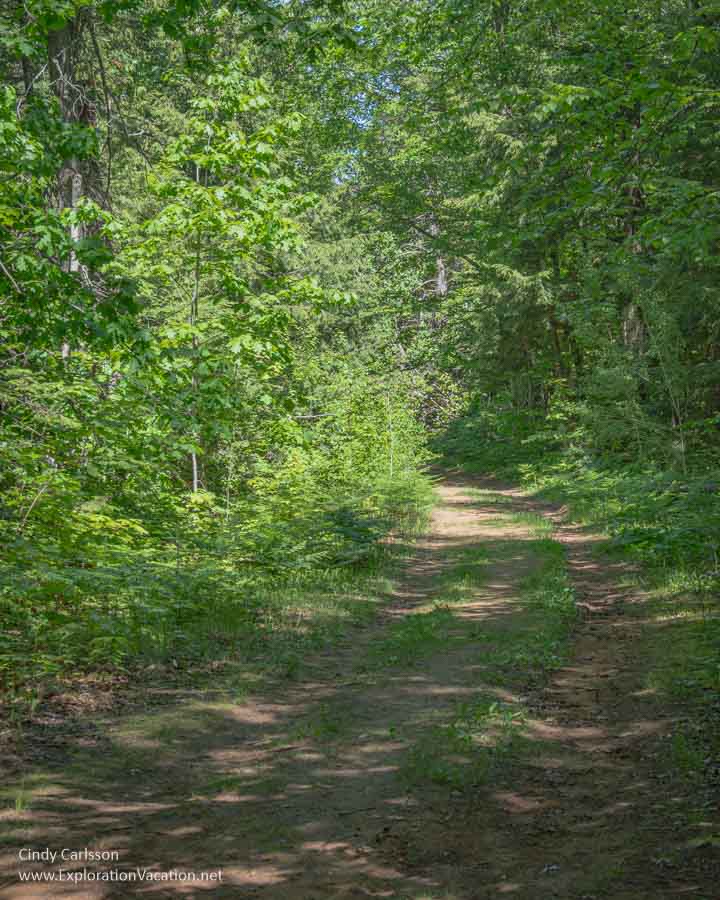 An abandoned sand road now used as a trail through a forest at Frog Bay Tribal National Park.