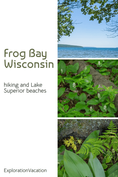 Multiple photos of Frog Bay beach and wildflowers in Wisconsin
