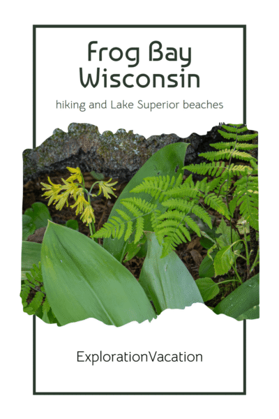 Wildflowers in Wisconsin's Frog Bay Tribal Park