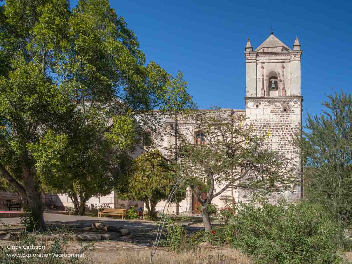 Photo of a garden and Misi&oacute;n San Ignacio Kadakaam&aacute;n (Mission San Ignacio) in San Ignacio, Baja California Sur, Mexico. (Photo &copy; Cindy Carlsson on ExplorationVacation.net)