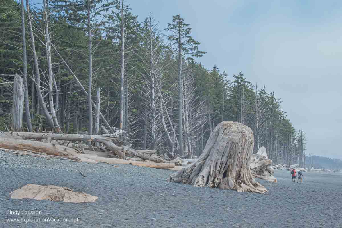 Photo of Rialto Beaech at Olympic National Park UNESCO World Heritage Site in Washington state. (Photo &copy; Cindy Carlsson on ExplorationVacation.net)