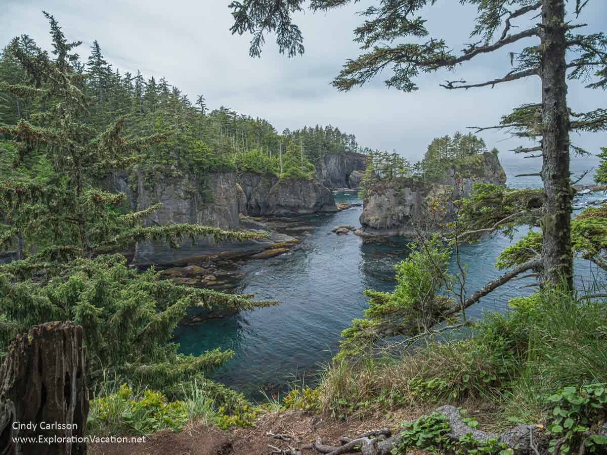Photo of Cape Flattery in Washington state. (Photo &copy; Cindy Carlsson on ExplorationVacation.net)