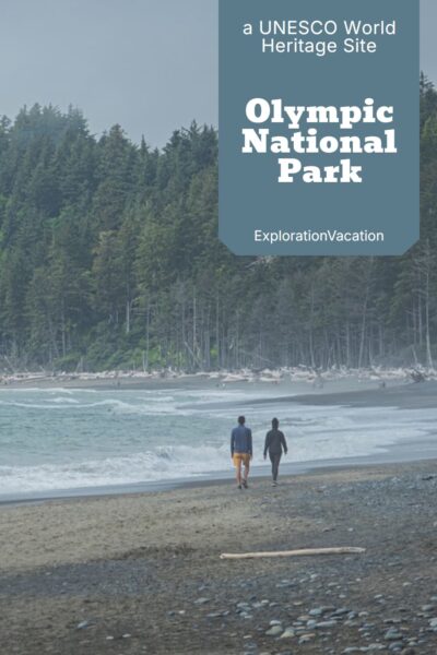 A foggy day along the Pacific coast in the Olympic National Park UNESCO World Heritage Site in Washington state.