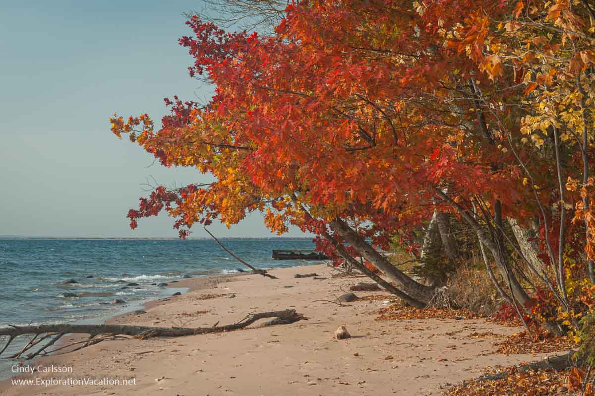 A sandy beach in fall with bright red leaves on trees at Big Bay on Madeline Island.