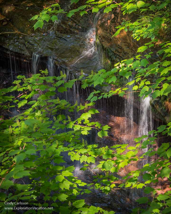 Water falling over a rocky ledge in a heavily wooded area at Houghton Falls State Natural Area in Wisconsin.