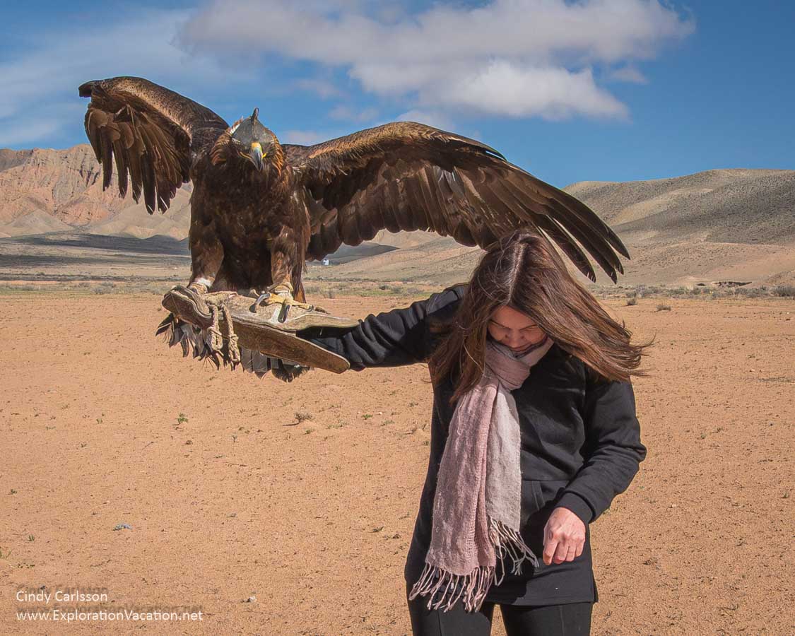 A woman ducking down while holding an eagle that looks ready to hit her with a wing. 