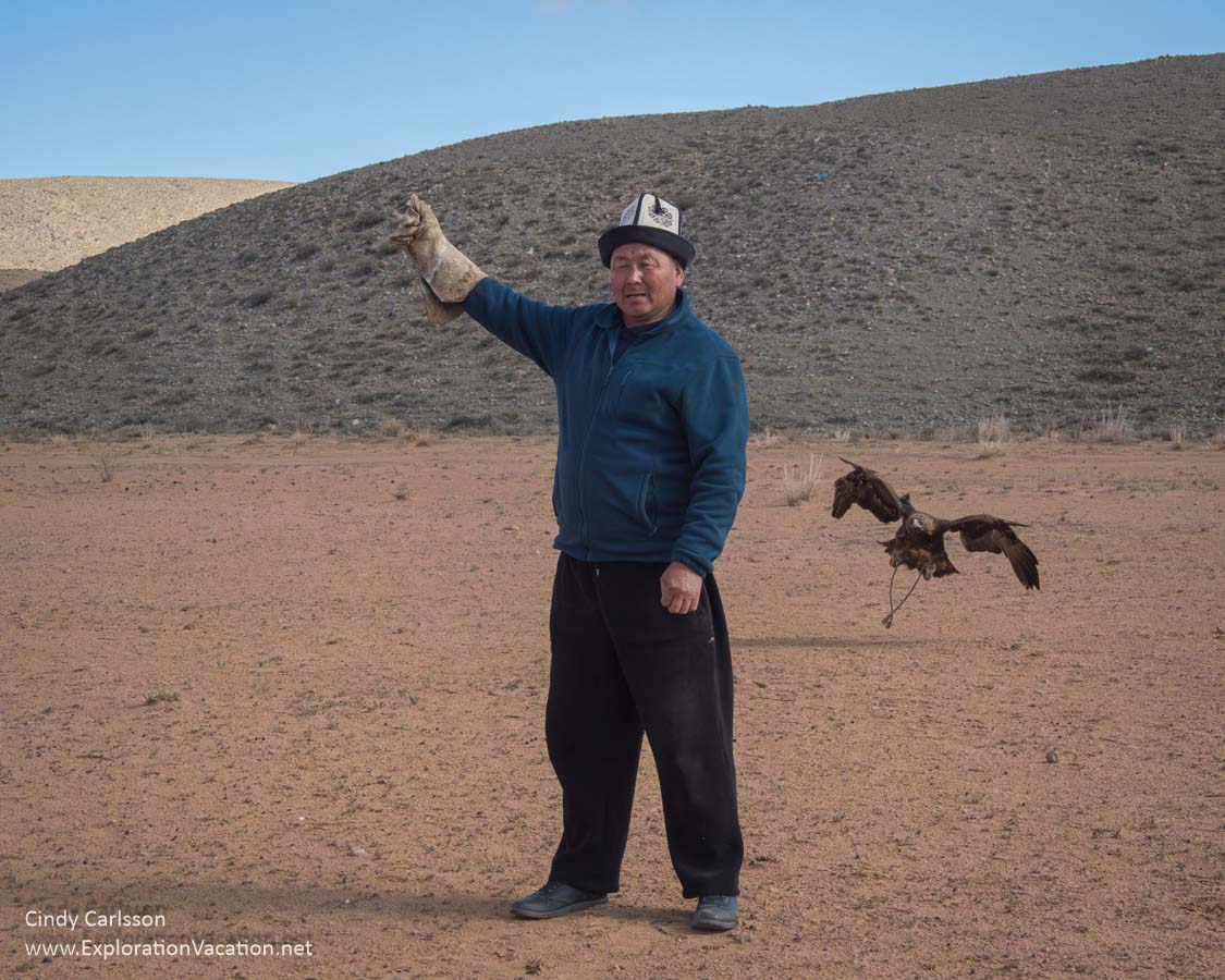 An eagle returning to its handler on a desert plain.