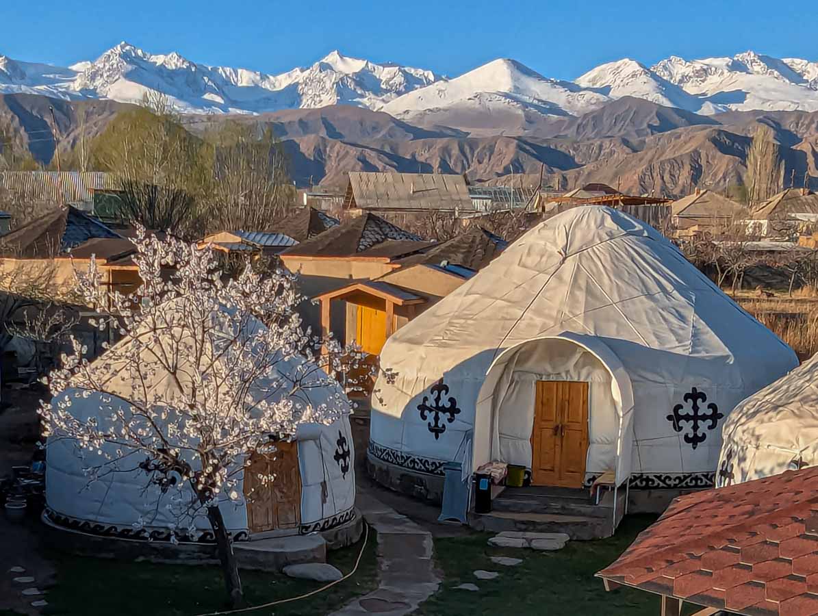 Yurts with flowering fruit trees and mountains in the distance.