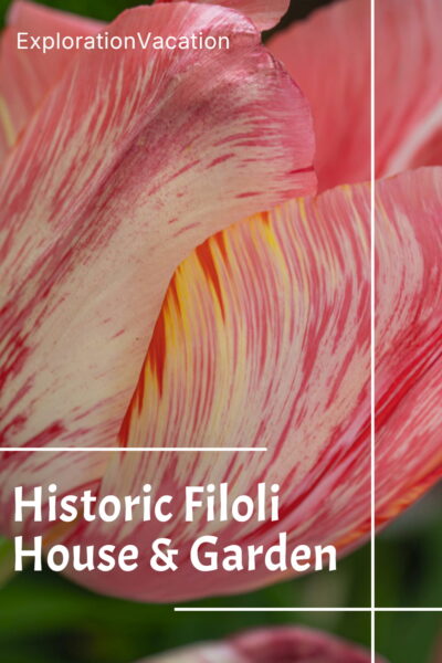 A tulip with text “Historic Filoli House and Garden California – ExplorationVacation.net."