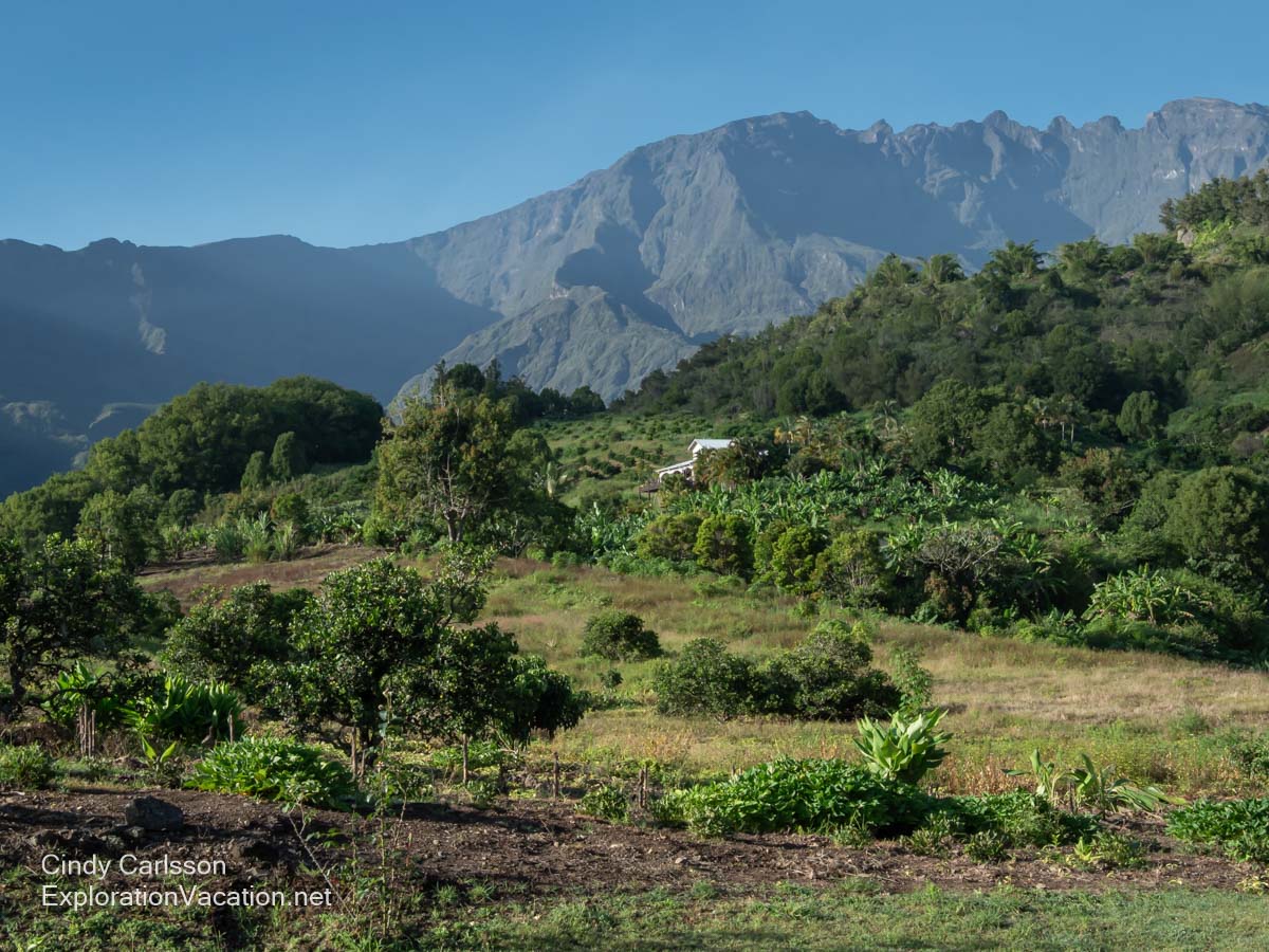 A tropical hillside and mountains. 